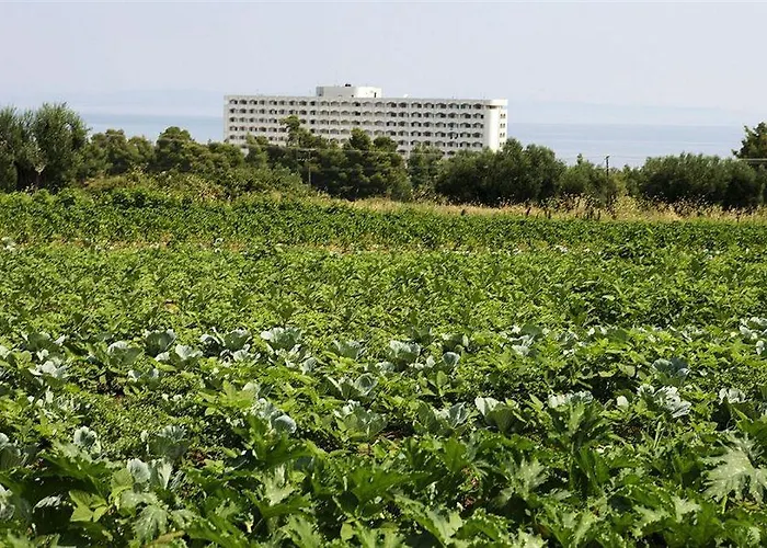 Ghotels Macedonian Sun Kallithea (Chalkidiki)